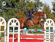 BICOCCHI Hialoubet Vassago GioCav2013 S6 7761 : BICOCCHI Emilio, Campionati Italiani Giovani Cavalli, Cattolica, Hialoubet Vassago, ph Stefano Secchi ©